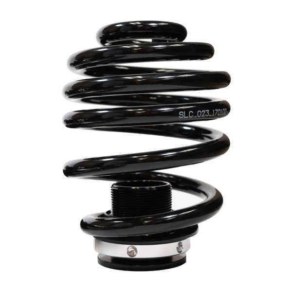 Silver s NEOMAX Coilovers BMW Z3 (E36 8) M-Coupe 1997-2002 For Sale